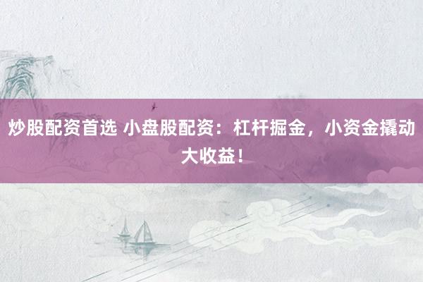 炒股配资首选 小盘股配资：杠杆掘金，小资金撬动大收益！