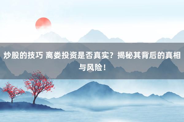 炒股的技巧 离娄投资是否真实？揭秘其背后的真相与风险！