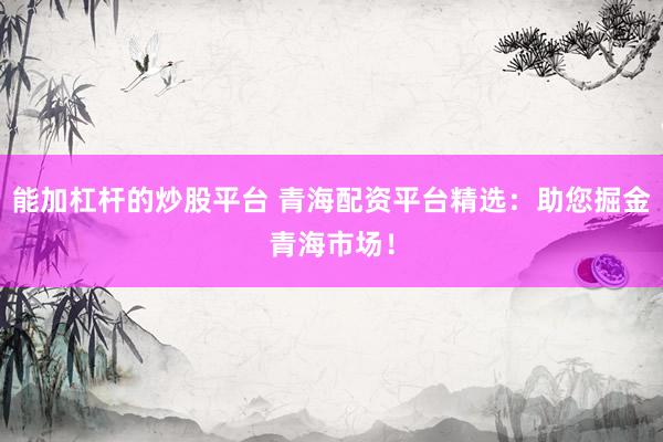 能加杠杆的炒股平台 青海配资平台精选：助您掘金青海市场！