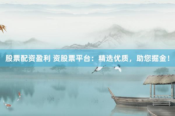 股票配资盈利 资股票平台：精选优质，助您掘金！
