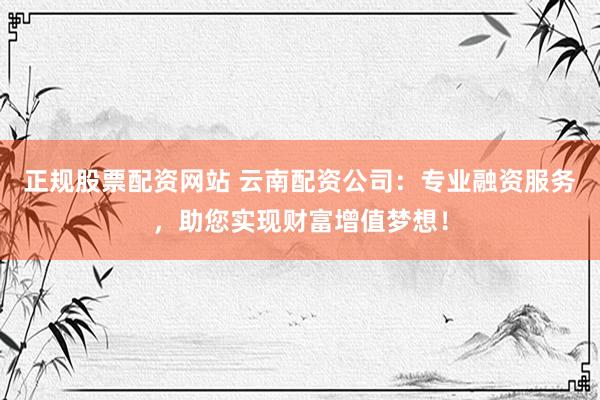 正规股票配资网站 云南配资公司：专业融资服务，助您实现财富增值梦想！