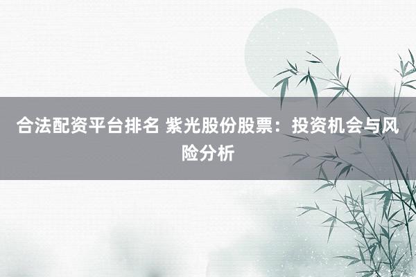 合法配资平台排名 紫光股份股票:投资机会与风险分析