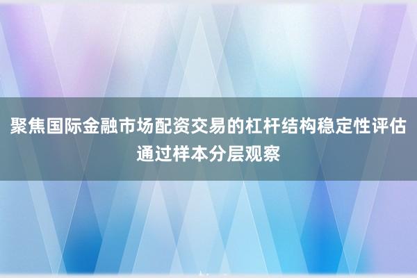 聚焦国际金融市场配资交易的杠杆结构稳定性评估通过样本分层观察